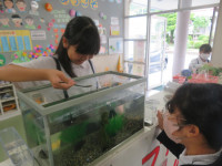 pict-IMG_5812