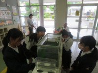 pict-IMG_5816