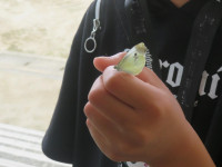 pict-IMG_5822