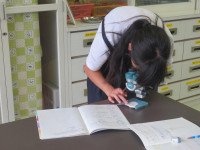 pict-IMG_6035
