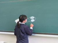 pict-IMG_6036