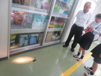 pict-IMG_6049