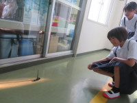 pict-IMG_6053