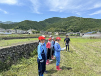 pict-IMG_4784