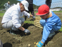 pict-IMG_6255