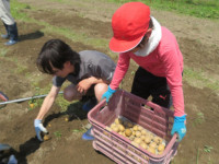 pict-IMG_6308