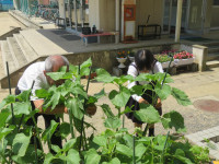 pict-IMG_6476