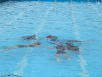 pict-IMG_6591