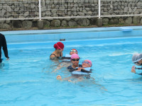 pict-IMG_6600