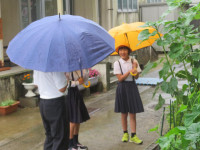 pict-IMG_6755