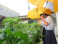 pict-IMG_6760