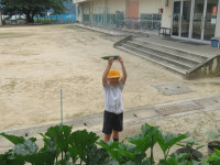pict-IMG_6970