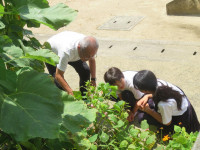 pict-IMG_7137