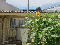 pict-IMG_7141