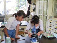 pict-IMG_7152