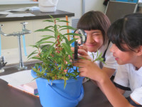 pict-IMG_7395