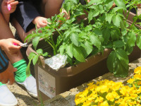 pict-IMG_4292