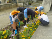 pict-IMG_5114