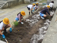 pict-IMG_5137