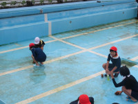 pict-IMG_5237