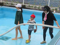 pict-IMG_5252