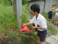pict-IMG_5292