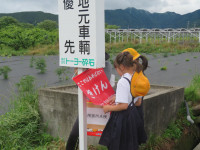 pict-IMG_5301