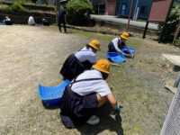 pict-IMG_1163