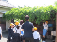pict-IMG_5429