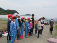 pict-IMG_5448