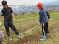 pict-IMG_5475