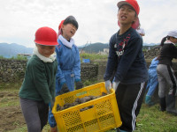 pict-IMG_2789