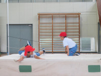 pict-IMG_5559