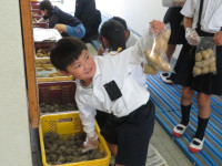pict-IMG_5573