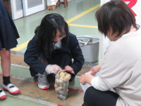 pict-IMG_5578