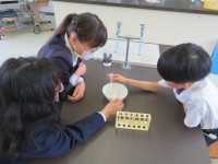 pict-IMG_5605