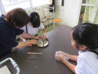 pict-IMG_5628