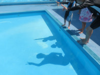 pict-IMG_5678