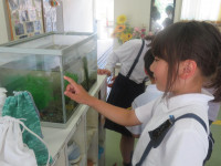 pict-IMG_5696