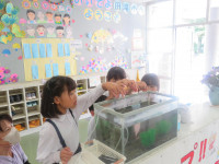 pict-IMG_5697