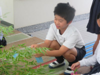 pict-IMG_5827