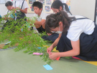 pict-IMG_5830