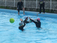 pict-IMG_5931