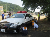 pict-IMG_6137