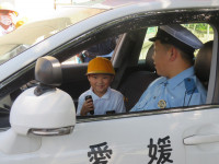 pict-IMG_6152