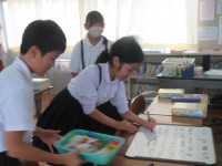 pict-IMG_6484