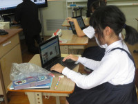 pict-IMG_6881