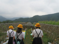 pict-IMG_6908