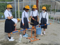 pict-IMG_6913