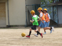 pict-IMG_6936